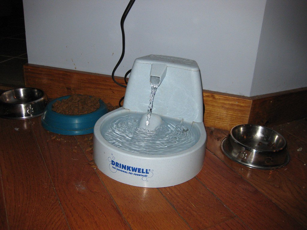 Owner replacing the carbon filter in a stainless steel cat water fountain